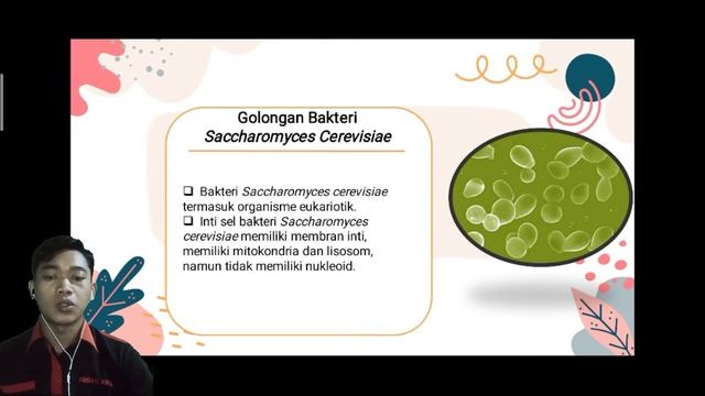 BAKTERI Saccharomyces Cerevisiae DAN PERANNYA DALAM PEMBUATAN TAPE смотреть онлайн