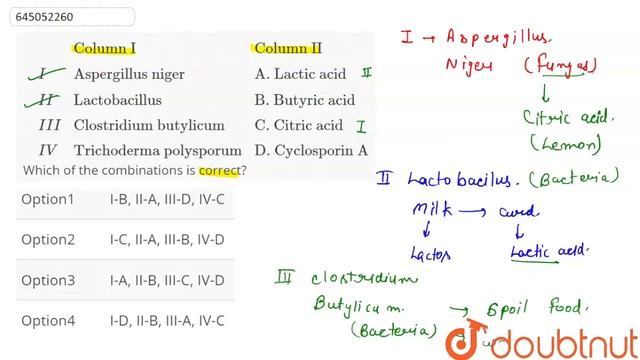 {:(,,Column I,Column II),(,I,Aspergillus niger,A. Lactic acid),(,II, Lactobacillus,B. Butyric ac... смотреть онлайн
