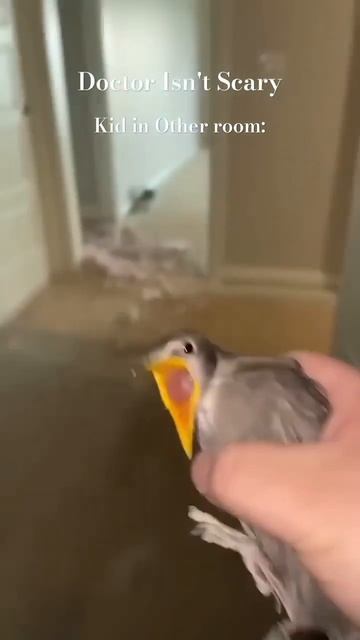 “Doctor isn’t scary” смотреть онлайн