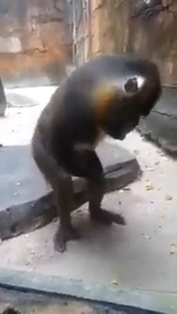 Полировщик смотреть онлайн