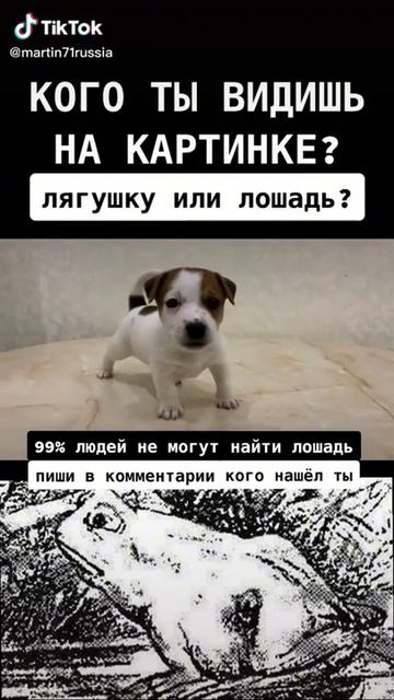 Кого Увидеш? Лягушку Или Лошадь? ‼️#ПОДПИШИСЬ #Проверка #НаЗрение #Shorts #Shorts#Shorts смотреть онлайн