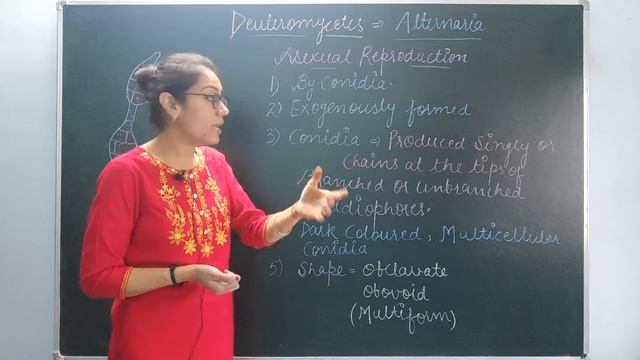 LECTURE 55:BIOLOGY XI-BIOLOGICAL CLASSIFICATION-FUNGI- DEUTEROMYCETES- ALTERNARIA