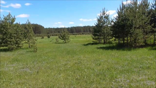 Допетровская деревня.Поиски старинных артефактов