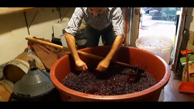 IL (buon) VINO FATTO IN CASA - CAP. 2: FERMENTAZIONE, FOLLATURE E RIMONTAGGI