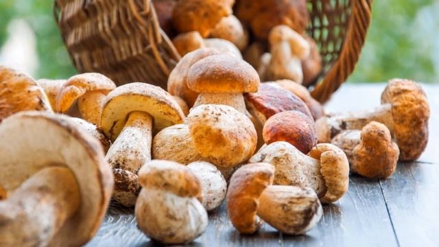 Սնկերի ամենաօգտակար հատկությունները․ 3 պատճառ սննդակարգում սնկեր ներառելու համար