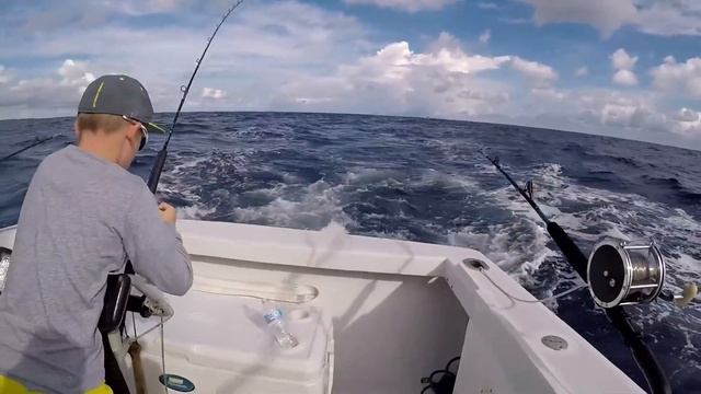 Cam fishing in the Cayman Islands смотреть онлайн