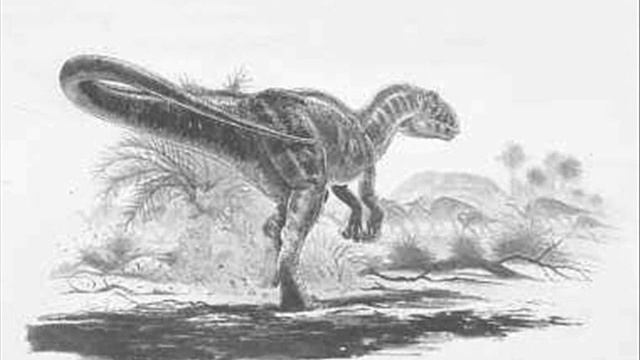 Carcharodontosaurus Tribute.wmv