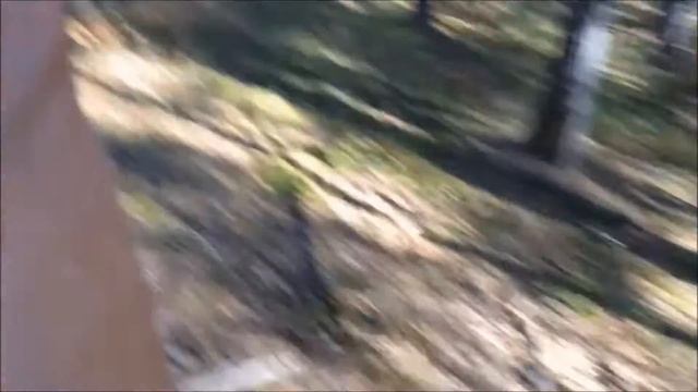 В лес по грибы)))