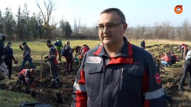 В Мариуполе провели масштабную акцию по высадке деревьев смотреть онлайн