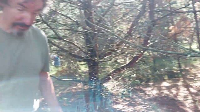 СБОР ГРИБОВ С ЮМОРОМ