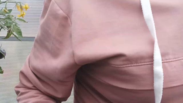 ТЕПЛИЦА №3 НА 17 СЕНТЯБРЯ:ОБЗОР смотреть онлайн