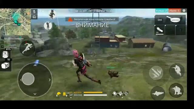 ПЕТУШИННЫЕ БОИ