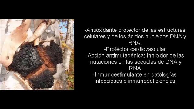 EL PODER DEL CAFE NATURAL DE TOTAL LIFE CHANGES смотреть онлайн