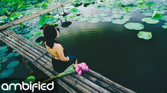 Prana Tones - Lost In Japan | Ambient Relaxing Yoga Meditation Sleep Reiki Music [Ambified] смотреть онлайн