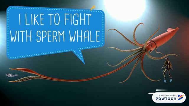 Facts about Arctica and Antarctica смотреть онлайн