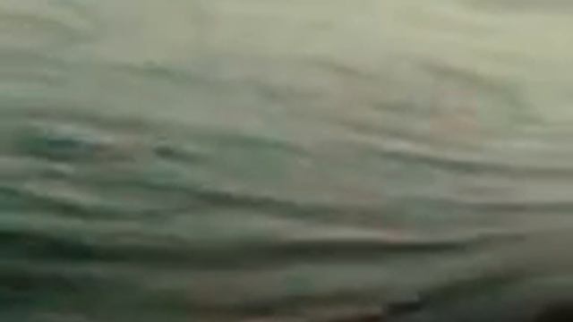 рыбалка в атырау на воблу и леща смотреть онлайн