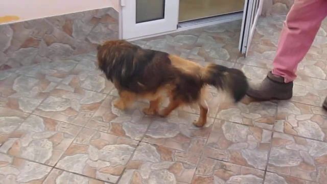 после операции 1 месяц смотреть онлайн