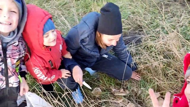 Поход за грибами. Семья. смотреть онлайн