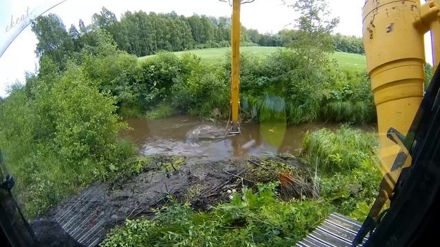 Бобры спрятали плотину в зарослях борщевика смотреть онлайн