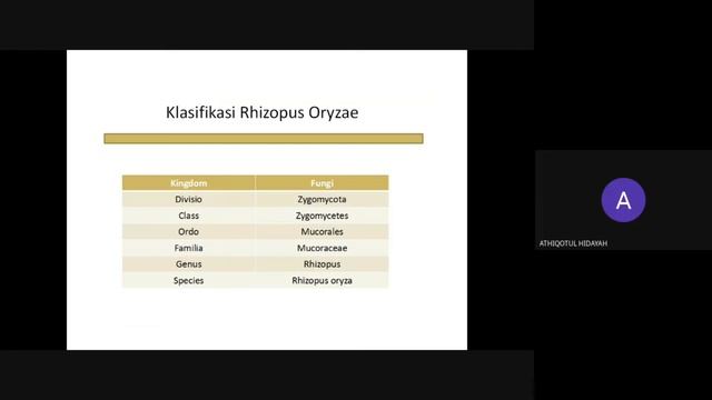 Pembuatan Tempe Dengan Bantuan Mikroba Rhizopus Oryzae