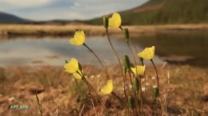 Красно солнышко. Поет Анастасия Степина