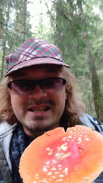 Анекдот про мухомор 🍄🍄🍄