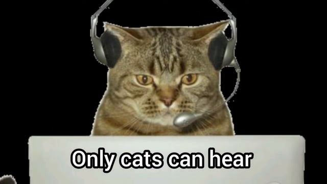 Sound Cats Can Only Hear (GUARANTEED) смотреть онлайн