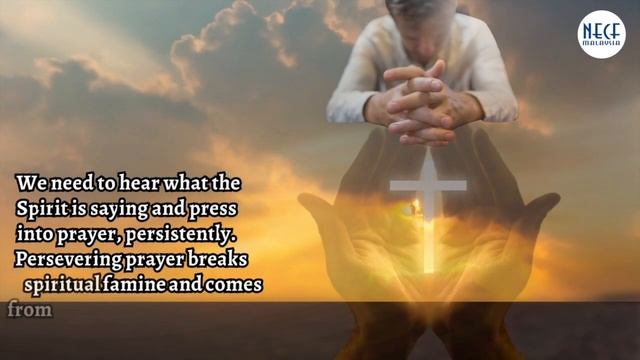 EA Day 8 (Mon, 14 Aug 2023) смотреть онлайн