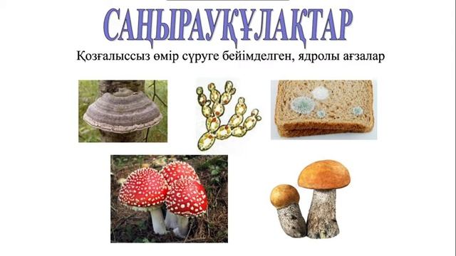 5-сынып. Жаратылыстану. Саңырауқұлақтар мен микроағзалар смотреть онлайн