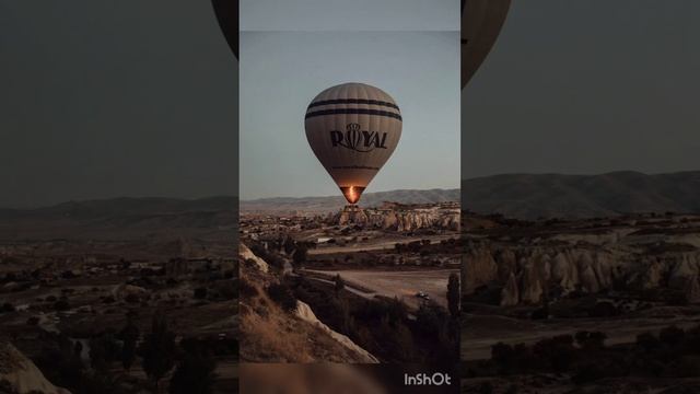 Taras is modest смотреть онлайн