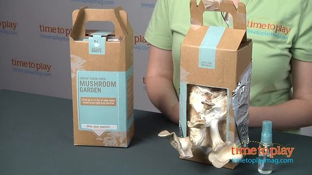 Grow Your Own Mushroom Garden From Back To The Roots