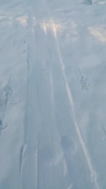 Следы невиданных людей смотреть онлайн