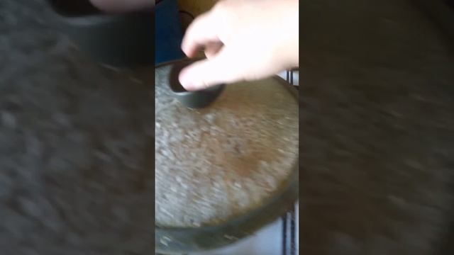 готовый куриный супчик и гречка с грибами