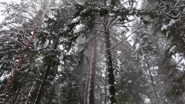 №3153 09.03.2023 Весенний снегопад смотреть онлайн