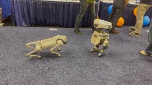 Unitree Go2 meet with Disney robot