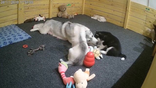 Чудесный вечер смотреть онлайн