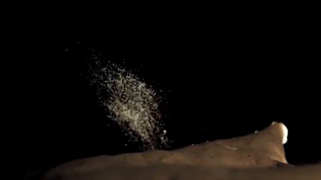 ГРИБЫ УМЕЮТ ГОВОРИТЬ - ШОК | ТОЧКАRU смотреть онлайн