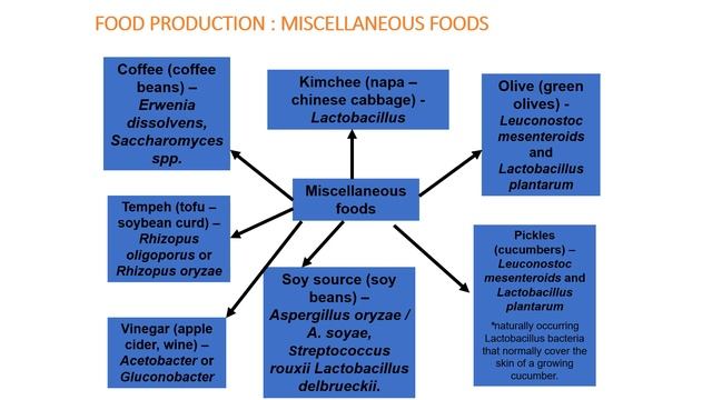 MICROBIAL BIOTECHNOLOGY смотреть онлайн