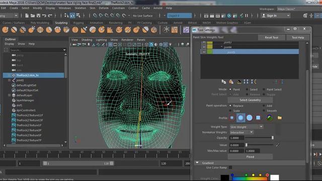 rig wajah bagian 1 | pemasangan rig face atau joint tol смотреть онлайн