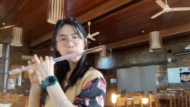 Crouching Tiger, Hidden Dragon - The Eternal Vow Chinese Dizi Crystal Flute Cover 卧虎藏龙主题曲笛子改编版 смотреть онлайн
