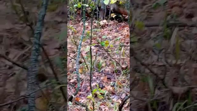 1 октября 2022 г.