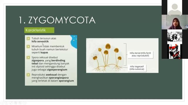 Biologi Kelas X - Klasifikasi Fungi || Seri Pembelajaran Daring смотреть онлайн