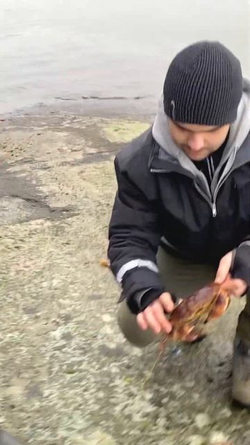 ОГО, Что он тащит из воды?! #shorts смотреть онлайн