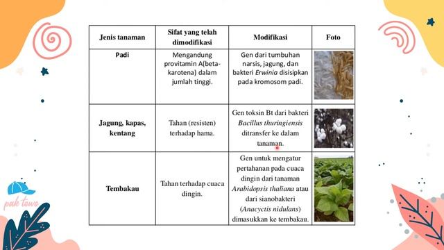 KELAS 9 BIOTEKNOLOGI смотреть онлайн