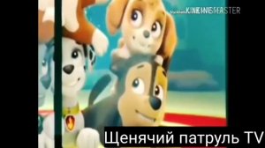 Щенячий патруль-скай и гончик(вместе мы)