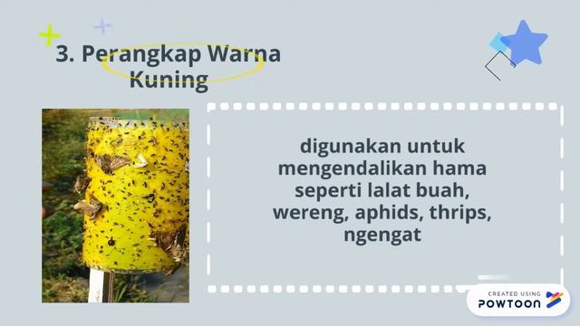 Pengendalian Organisme Pengganggu Tanaman