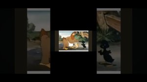 Сары қара дос балапандар ертегісі.