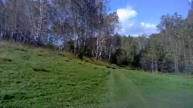 Дорога к опятам