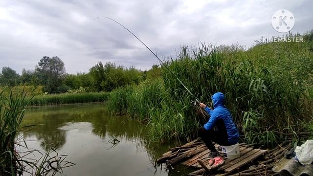 РИБАЛКА В ПОЛЬЩІ НА ЗАКИНУТОМУ ОЗЕРІ ЗА ДАРМО!!!! смотреть онлайн