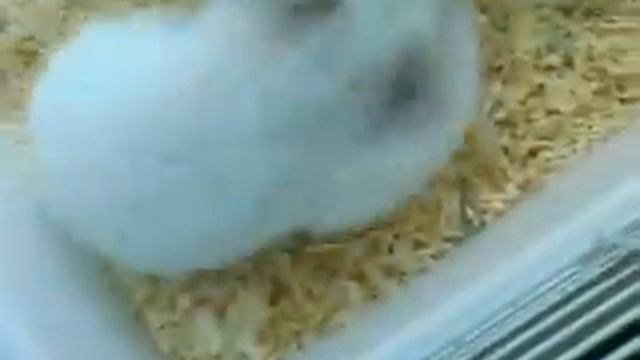 Онигири, часть 1. смотреть онлайн